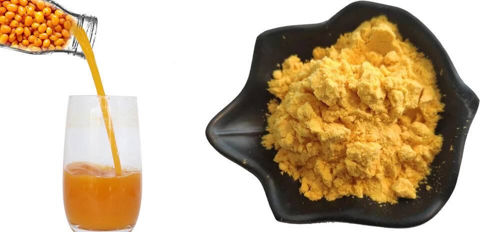 Lulairoa 100% Natural High Quality Organic Sea Buckthorn Juice Powder