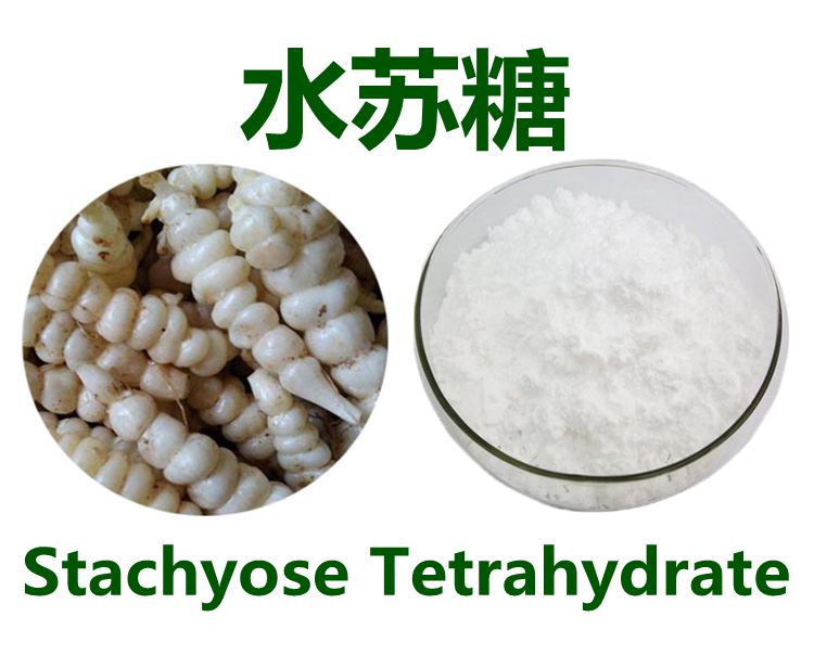 Lulairoa Natural Stachyose Tetrahydrate 99% - 200 grams / 500 grams /1000 grams