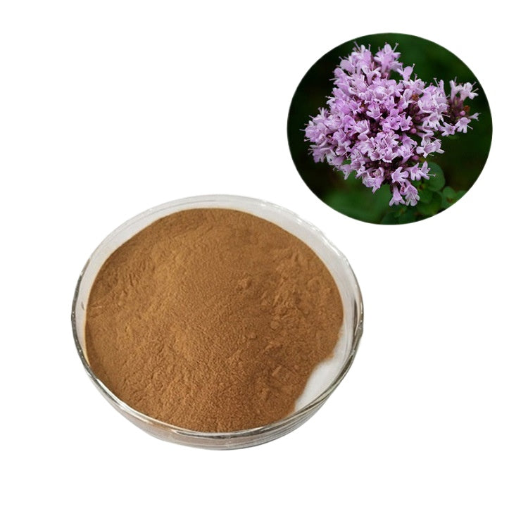 Lulairoa Pure Thyme Extract Powder 10:1 - 200 grams / 500 grams / 1000 grams