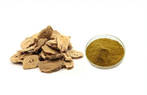 Lulairoa Costus Root 10:1 Extract Powder , 200 grams | 500 grams | 1000 grams
