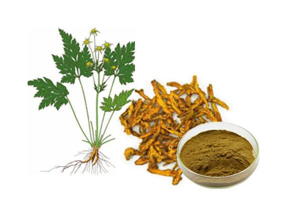Bright sunlight Goldenseal Root Extract 20:1 Powder High Quality & Pure, 200 grams - 1000 grams