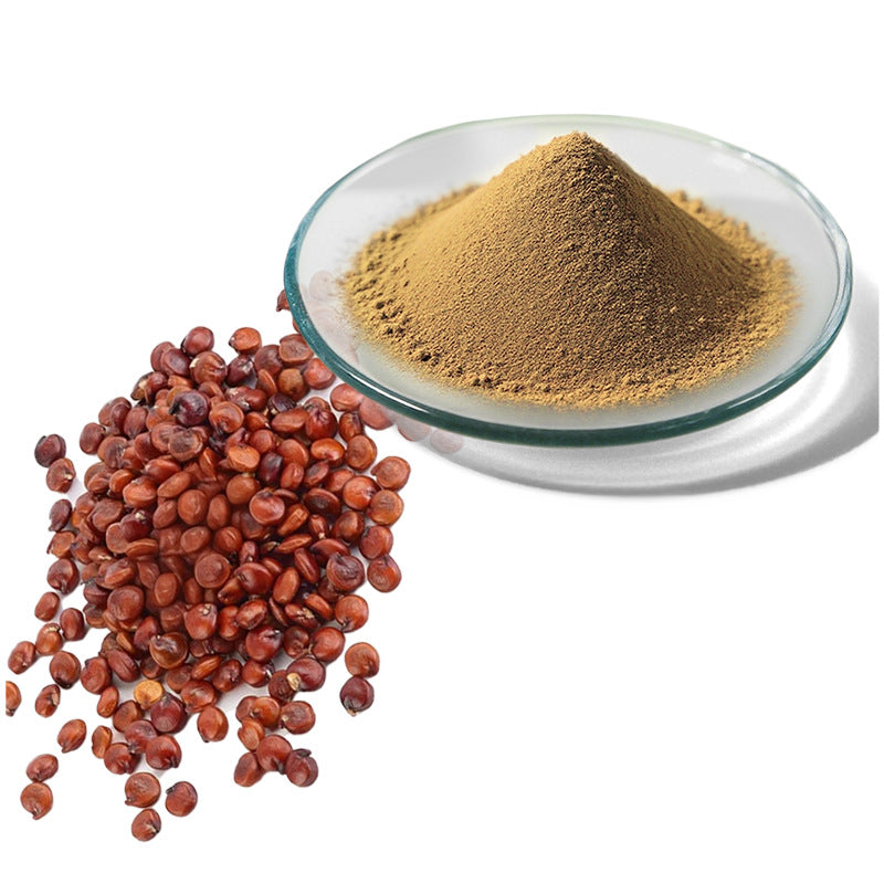 Bright sunlight Semen Ziziphi Spinosae Extract 20:1 Powder, Sour Jujube Seed - 200 grams | 500 grams | 1000 grams