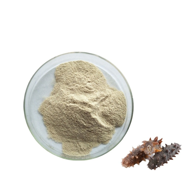 Bright sunlight Sea cucumber peptide 98% ≤ 500Da small molecule peptide powder - 100 grams
