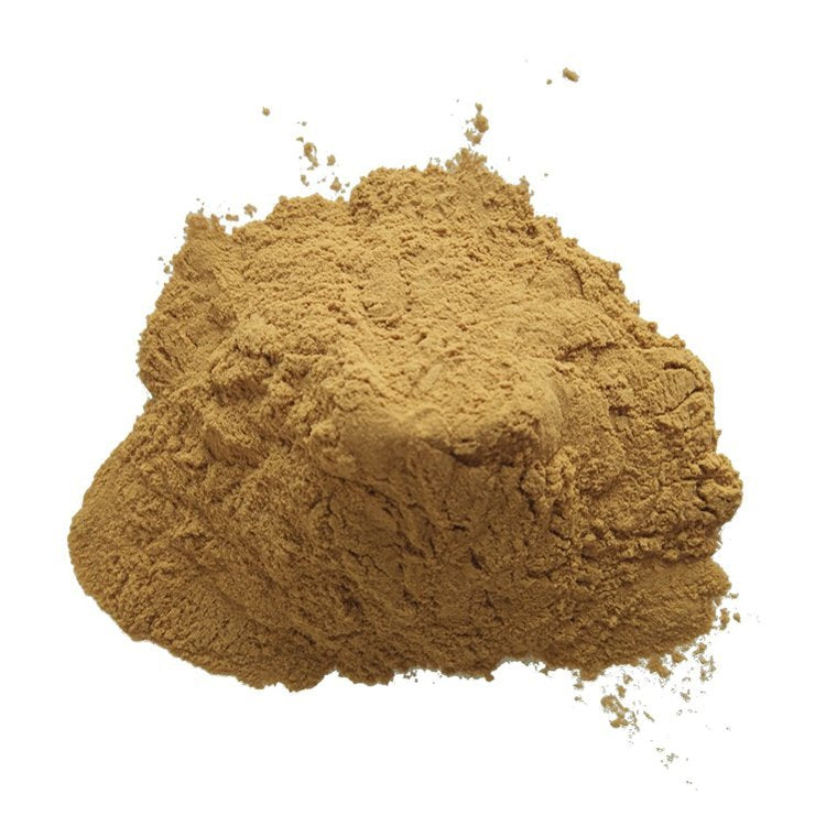 Bright sunlight Antrodia Camphorata Extract 10:1 Powder, Niu Zhang Zhi , 200 grams - 1000 grams