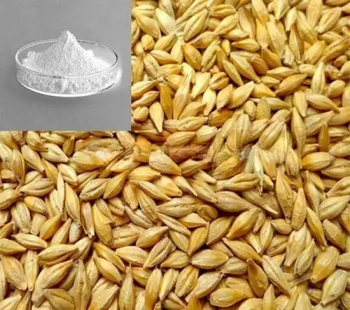 Bright sunlight 98% Hordenine (Barley Malt Extract ) - 100 grams