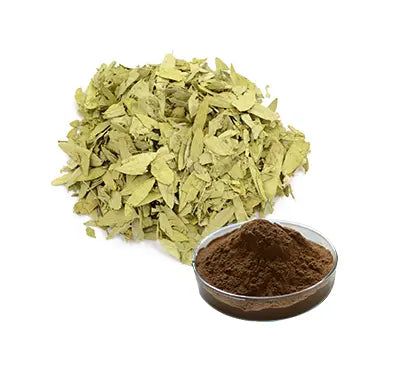 Lulairoa Senna leaf Extract 20:1 Powder , 200 grams - 1000 grams