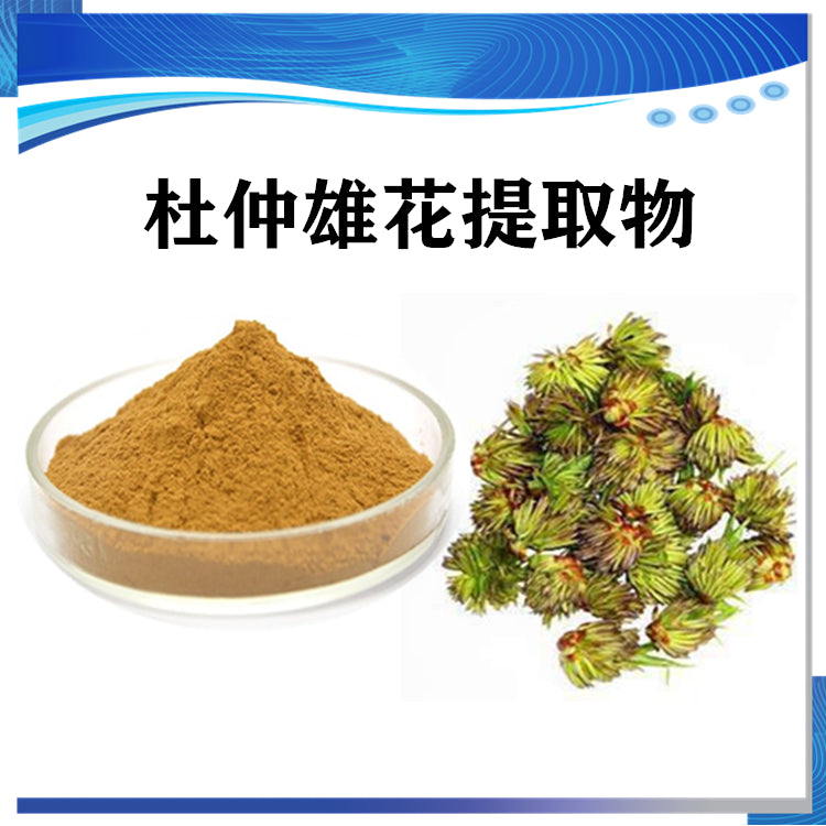 Bright sunlight Eucommia Ulmoides Male Flower Extract 20:1 , 200 grams - 1000 grams