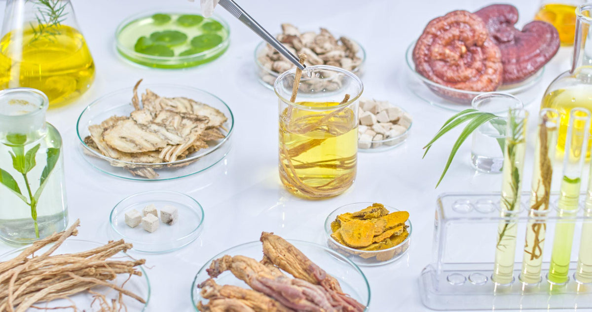 Top Chinese Herbs for Wellness: Traditional Botanicals Backed by Modern Interest