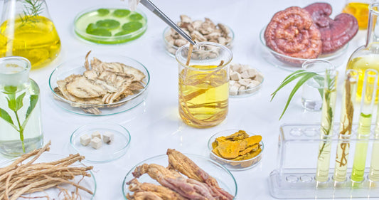 Top Chinese Herbs for Wellness: Traditional Botanicals Backed by Modern Interest