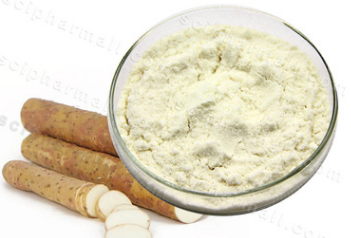 Bright sunlight Pure Natural Wild Yam Root 20:1 Extract Powder , 200 grams - 1000 grams