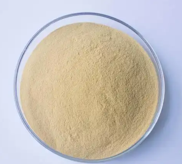 Bright sunlight Mogroside V 80% Monk Fruit Sweeteners Zero Calories Extract Powder ，100 grams