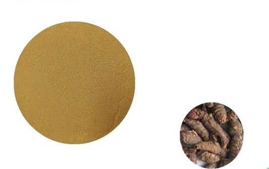 Lulairoa Xiang Fu Nagarmoth Nagarmotha Extract Powder (Cyperus Rotundus) 20:1 - 200 grams | 500 grams | 1000 grams