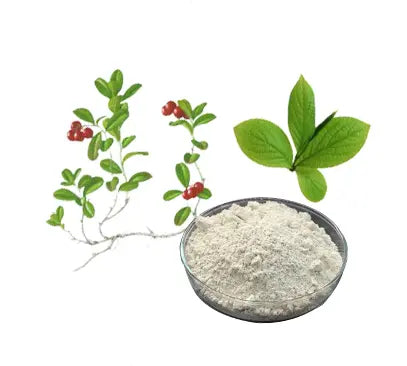 Bright sunlight 99% Alpha Arbutin Powder , 100 grams - 500 grams