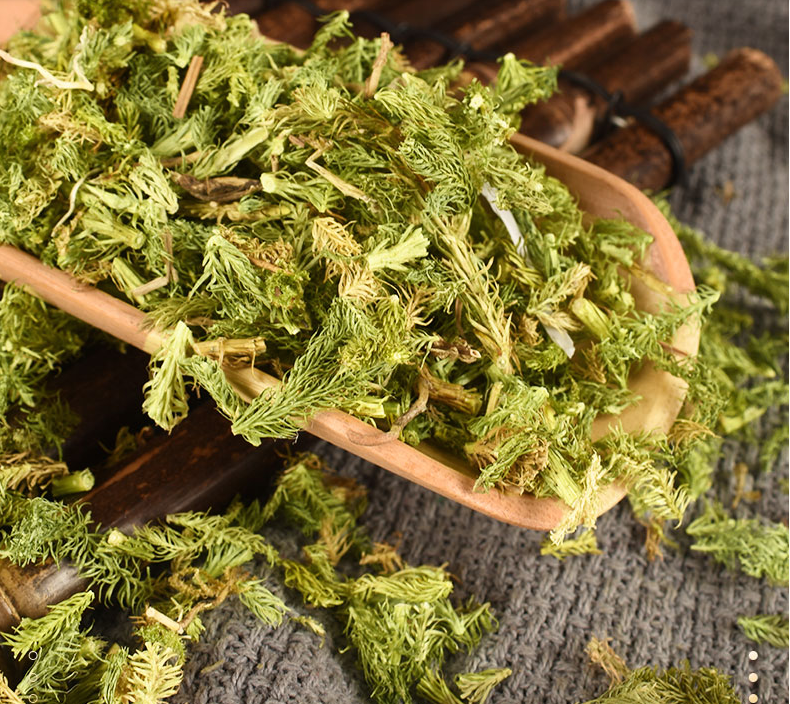 Traditional Chinese Medicine Shen Jin Cao Natural Japanese Clubmoss Herb
