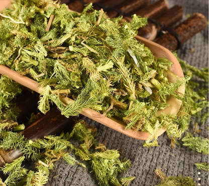 Traditional Chinese Medicine Shen Jin Cao Natural Japanese Clubmoss Herb