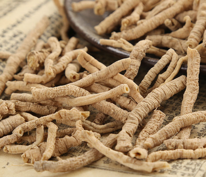 YUAN ZHI - 远志 -  Dried Polygala Tenuifolia Root