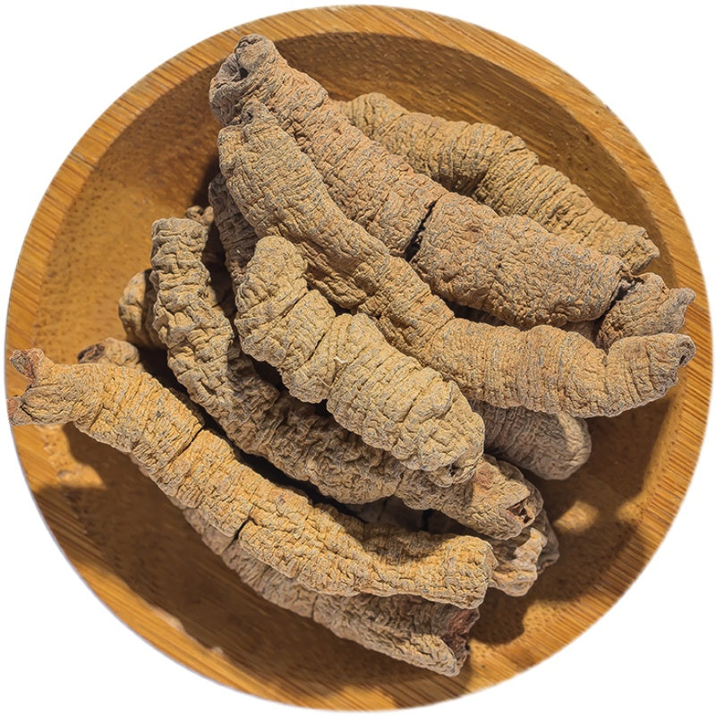 Ba Ji Tian High Quality Chinese Herb Morinda Officinalis Root