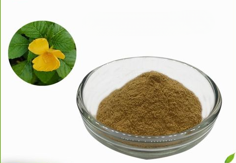 Damiana Leaf Extract 30:1 (Turnera Diffusa) Pure High Quality , 200 grams-1000 grams