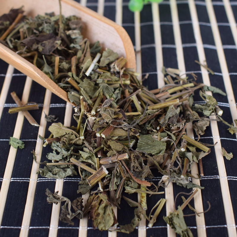 Dong Ling Cao Traditional Chinese Herb Rabdosia Rubescens