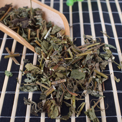Dong Ling Cao Traditional Chinese Herb Rabdosia Rubescens