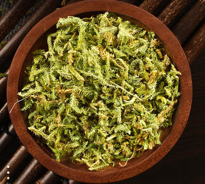 Traditional Chinese Medicine Shen Jin Cao Natural Japanese Clubmoss Herb