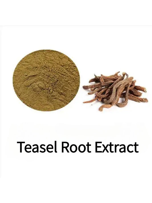 Lulairoa Teasel Root Extract 20:1 Powder , 200 grams | 500 grams | 1000 grams