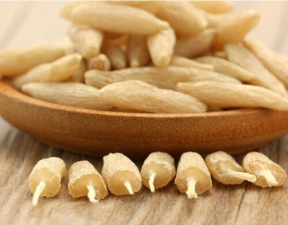 Mai Dong Wholesale Top Quality Chinese Herbs Radix Ophiopogonis