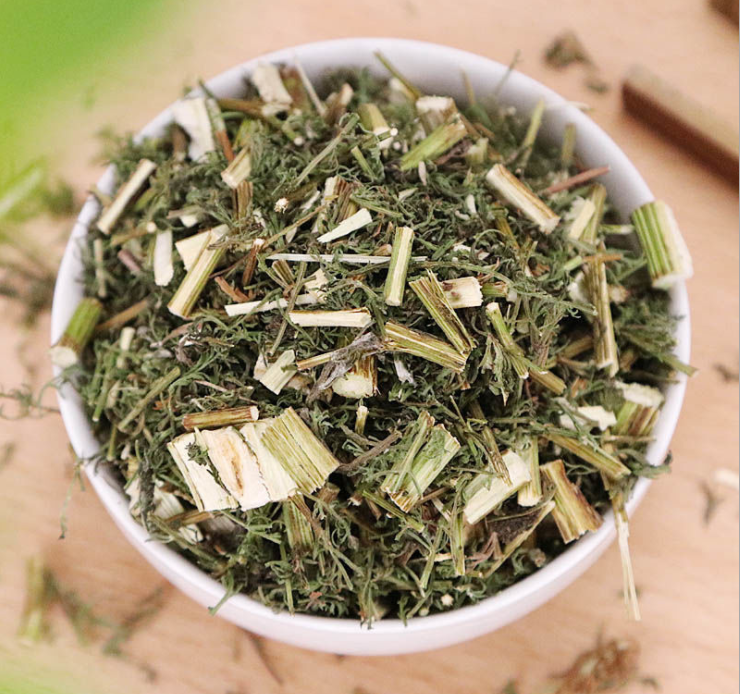QING HAO - 青蒿 - Sweet Wormwood Herb Artemisia Annua