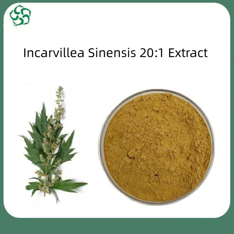 Pure Natural Artemisia Annua 20:1 Extract Powder , 200 grams-1000 grams