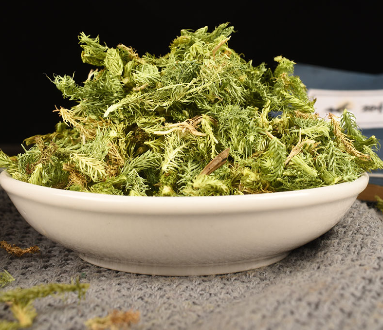 Traditional Chinese Medicine Shen Jin Cao Natural Japanese Clubmoss Herb