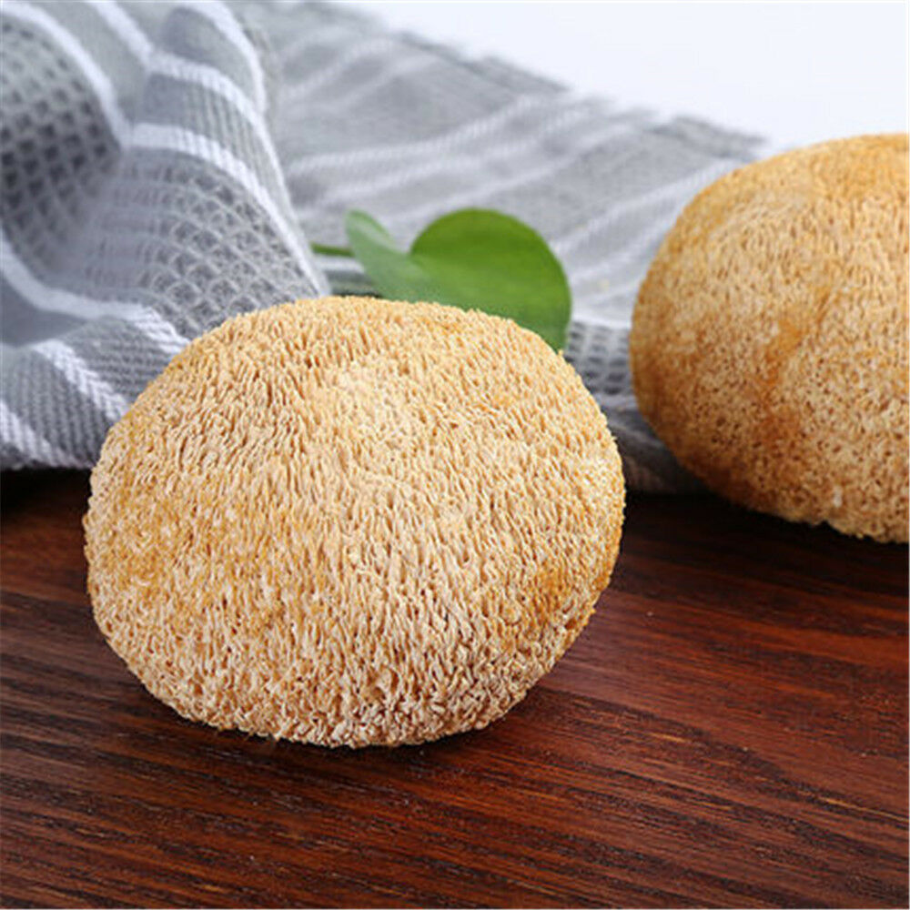 HOU TOU GU - 猴头菇 - Dried Monkey Head Mushroom, Hericium Erinaceus, Lions Mane Mushroom