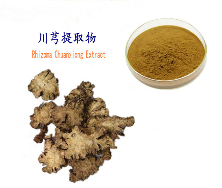 Bright sunlight Chuan Xiong Extract - Szechuan Lovage Root- Ligusticum 30:1 Extract Powder - 200 grams | 500 grams | 1000 grams