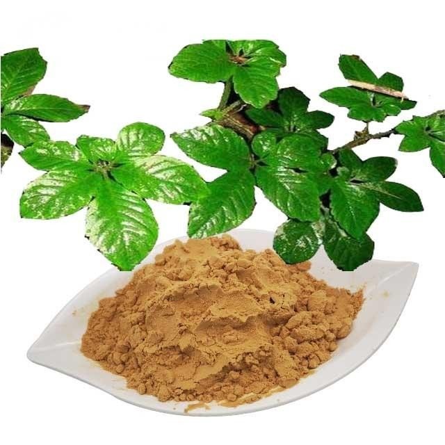Bright sunlight Gynostemma Pentaphylla Extract 30:1 Gypenoside Pure &High Quality Extract Powder, 200 grams - 1000 grams