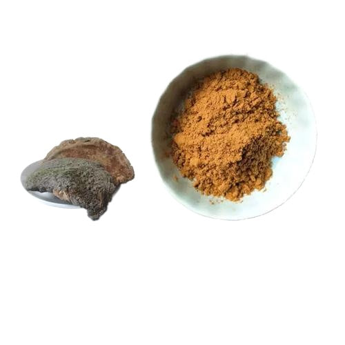 Lulairoa Huai Er, Trametes Robiniophila Extract 30% Polysaccharide , 200 grams - 1000 grams