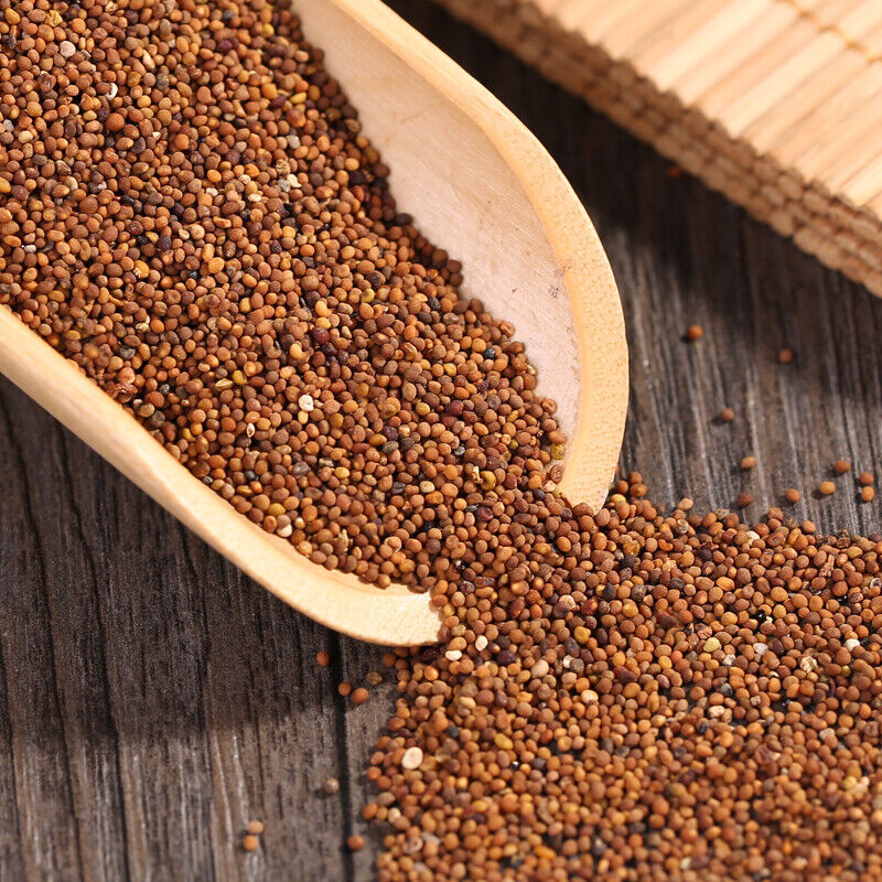 Bright sunlight Dodder Seed (Cuscuta Chinensis/Tu Si Zi/菟丝子) Dried Bulk Herbs