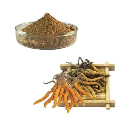Lulairoa Cordyceps Sinensis Mushroom Extract Powder 40% Polysaccharides, No fillers, 200 grams | 500 grams | 1000 grams