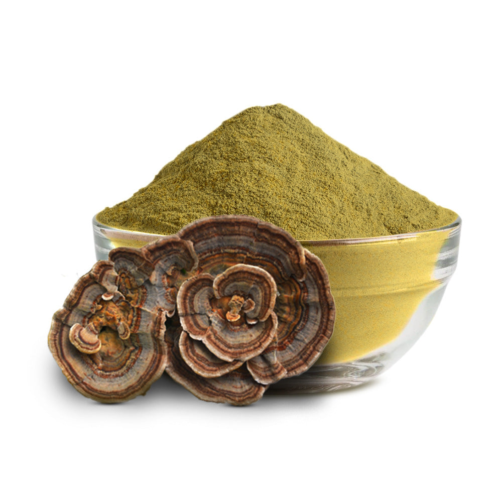 Bright sunlight Organic Turkey Tail Mushroom 10:1 Extract Powder -  200 grams / 500 grams / 1000 grams