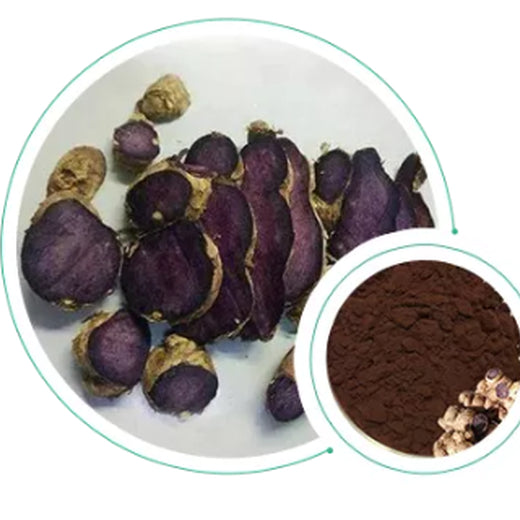 Bright sunlight Thai Black Ginger Extract 20:1 Powder , 200 grams - 1000 grams