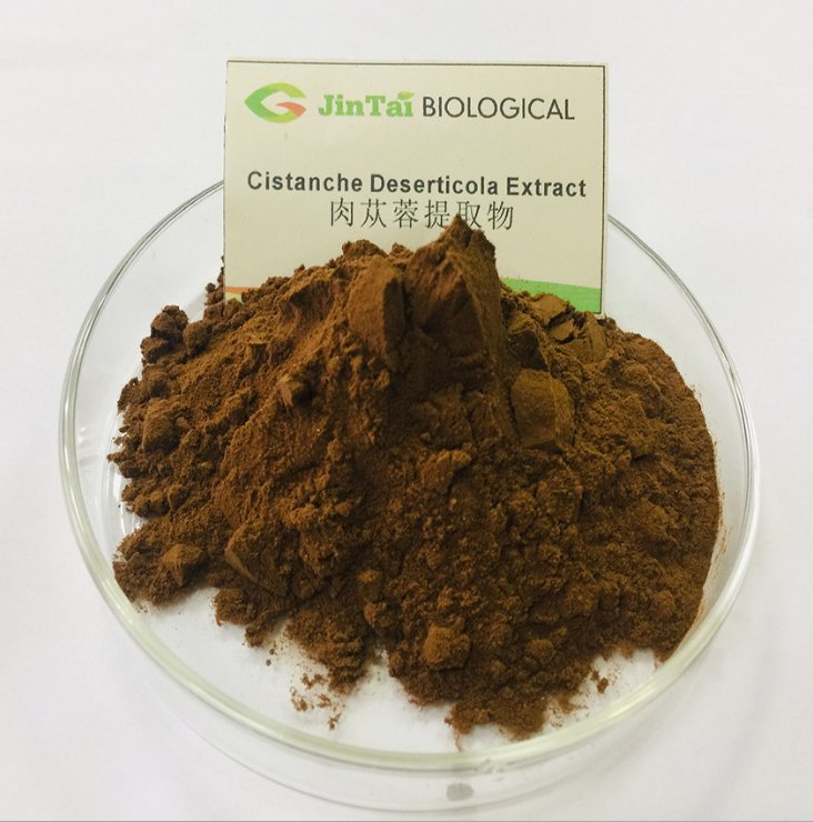 Bright sunlight Pure Wild Cistanche deserticola Extract 30:1 Powder , 200 grams - 1000 grams