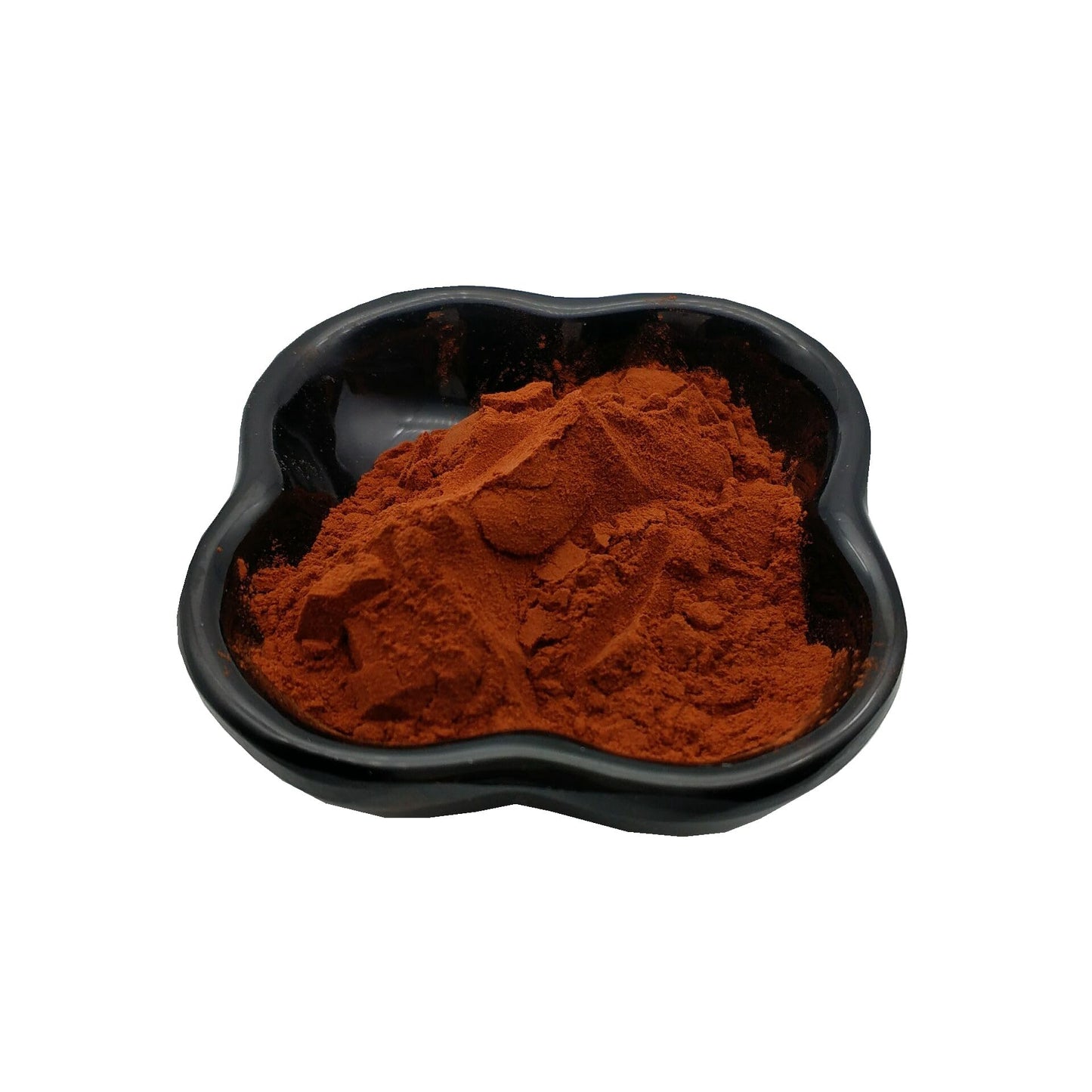Maritime Pine Bark Extract Powder 95% OPC Pure Antioxidant 3.5 ounce