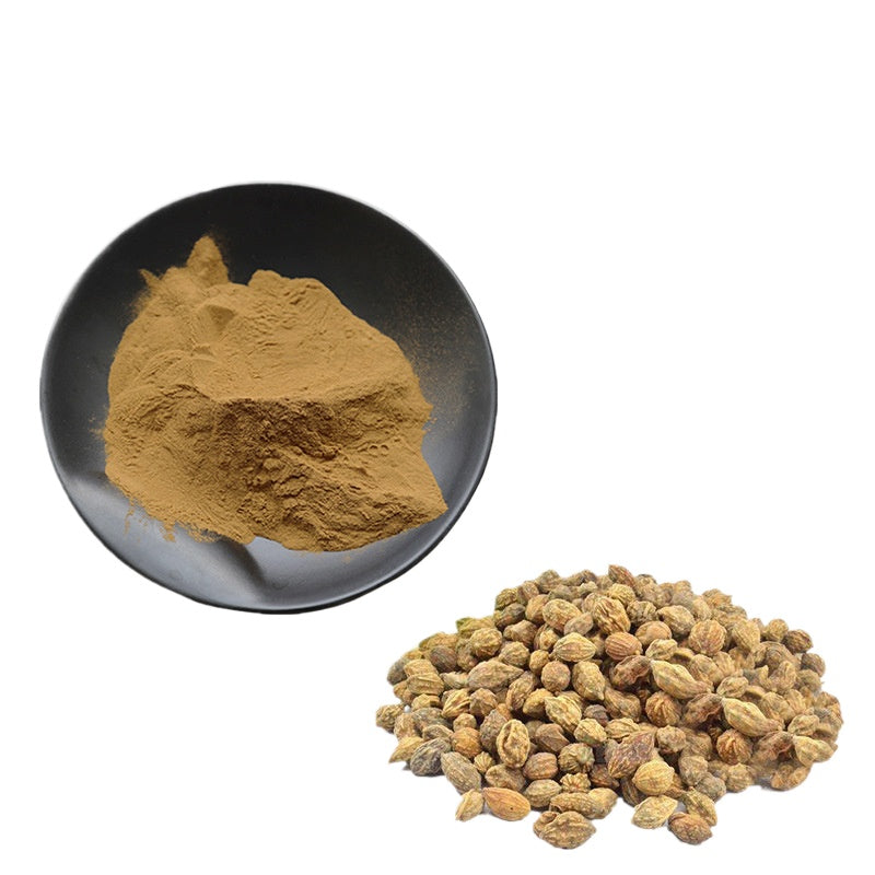 Lulairoa Yi Zhi Ren, Sharpleaf Galangal (Alpinia Oxyphylla) Fruit Extract 30:1 Powder , 200 grams | 500 grams | 1000 grams
