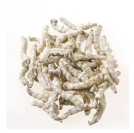 Bright sunlight White stiff silkworm, 白僵蚕 100 grams