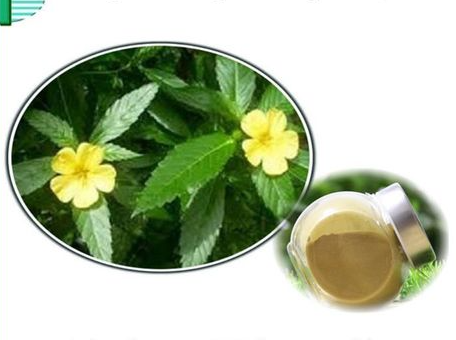 Damiana Leaf Extract 30:1 (Turnera Diffusa) Pure High Quality , 200 grams-1000 grams
