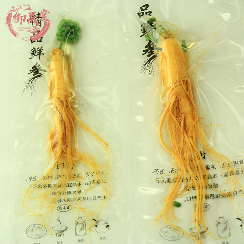 Bright sunlight 6 years Fresh White Ginseng Root Whole Root White Panax Roots
