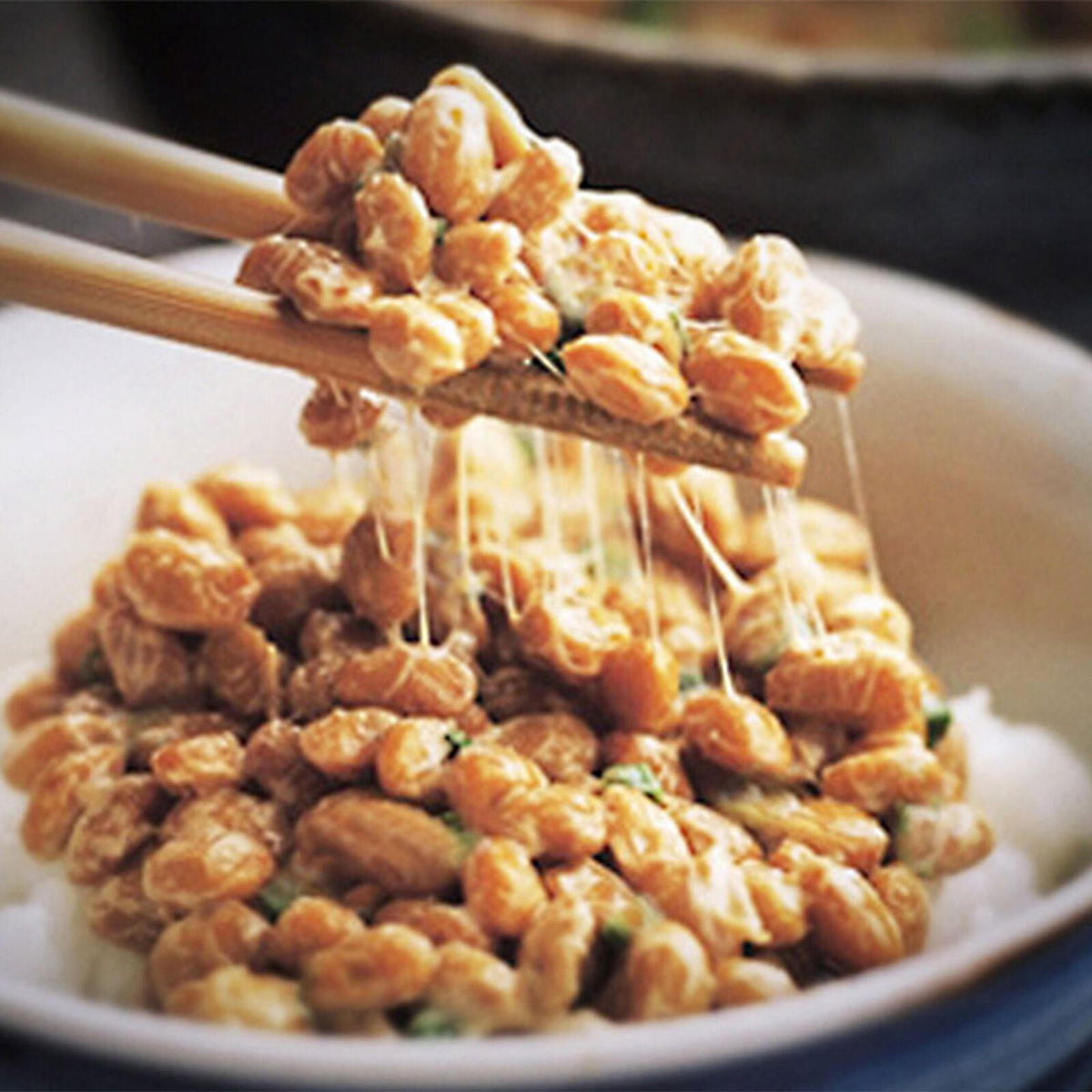 Bacillus Natto for DIY Natto 3g x 5 bags NATTO kin live enzyme spore starter