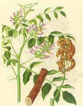 Lulairoa Licorice Root Extract 20:1 Powder , 200 grams | 500 grams | 1000 grams
