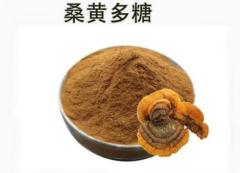 Bright sunlight Phellinus Linteus Extract 20:1 Powder Meshimakobu Mushroom , 200 grams - 1000 grams