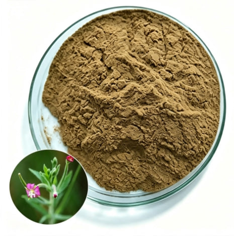 Small Flowering Willow / Epilobium Parviflorum 20:1 Extract Powder, 200 grams-1000 grams