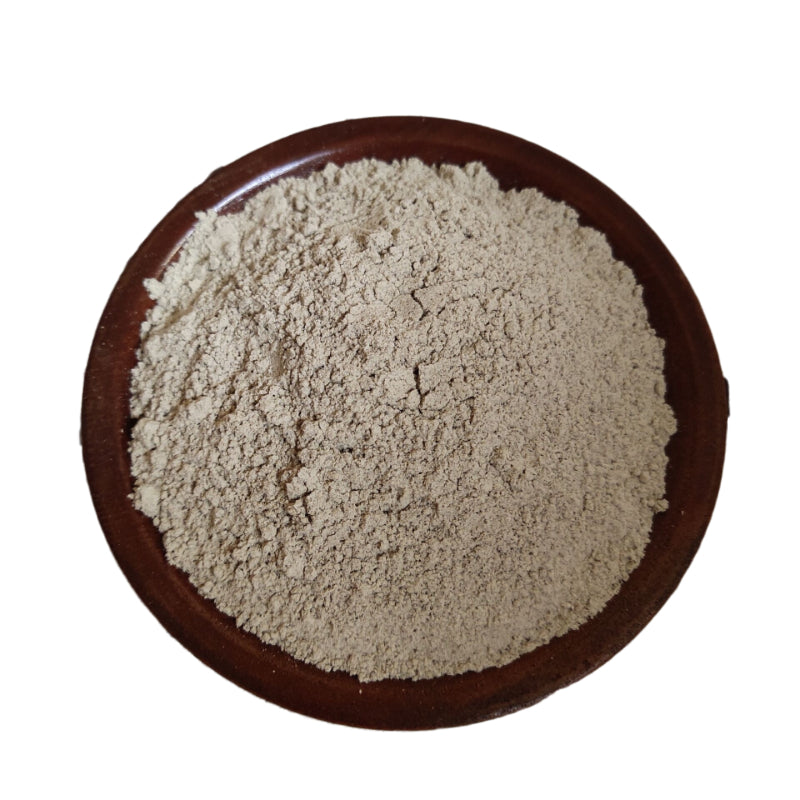 Lulairoa Leech powder , Hirudo, 水蛭粉 Shui Zhi  - 100 grams