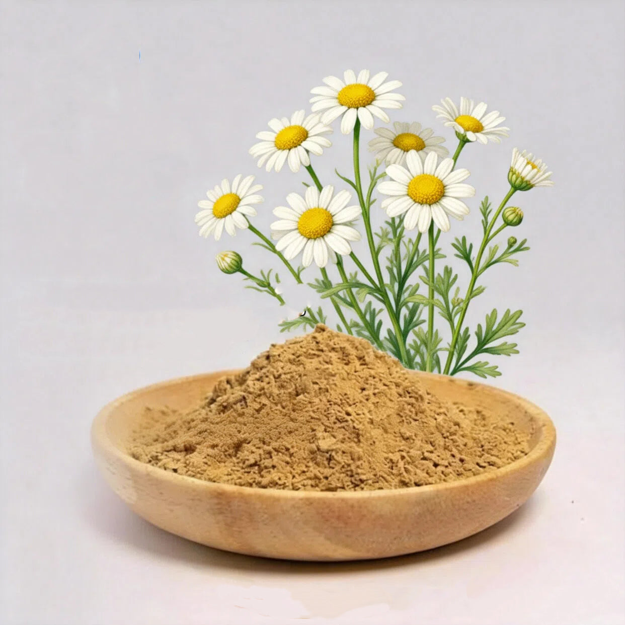 Bright sunlight Chamomile Extract 20:1 Powder (Matricaria Recutita) APIGENIN NO FILLERS , 200 grams - 1000 grams